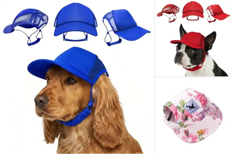 Detailed view of Best Adjustable Chin Strap Dog Hat
