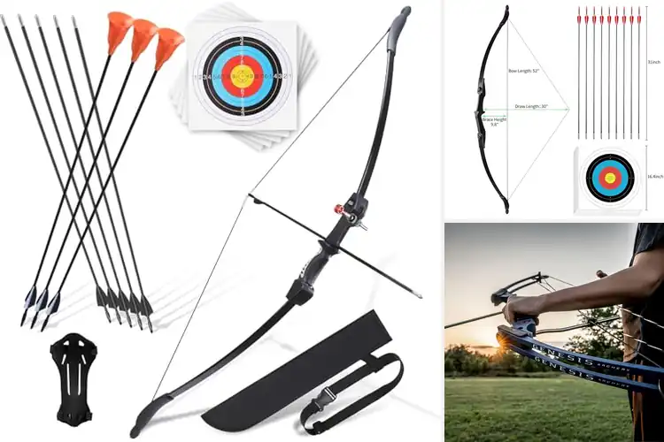 Detailed view of Best Beginner Bows