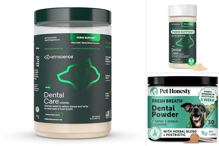 Detailed view of Best Dental Care Powders