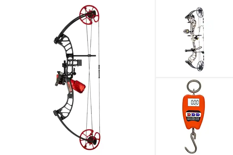 Detailed view of Best Draw Weight Ranges