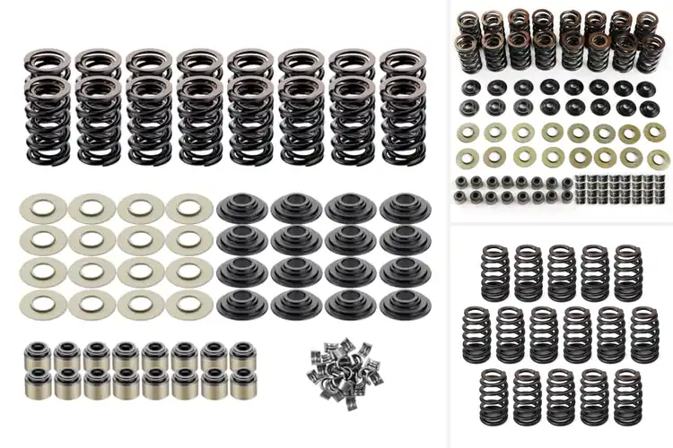 Detailed view of Best Engine Valve Springs