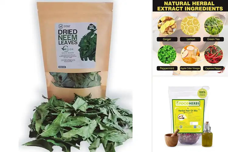 Detailed view of Best Herbal Products: Top 10 for Your Health