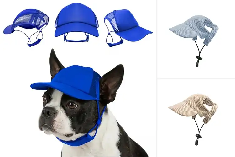 Detailed view of Best Medium Dog Baseball Hats
