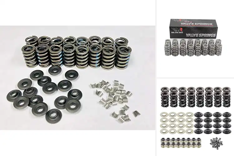 Detailed view of Best Performance Valve Springs