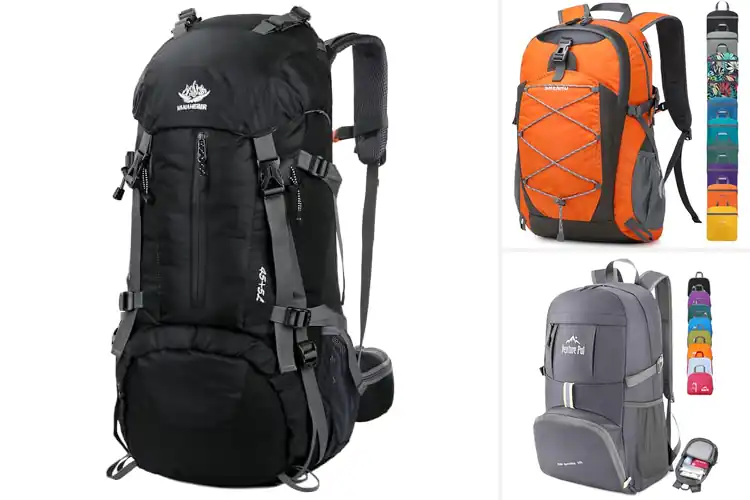 Detailed view of Best Sports Daypacks